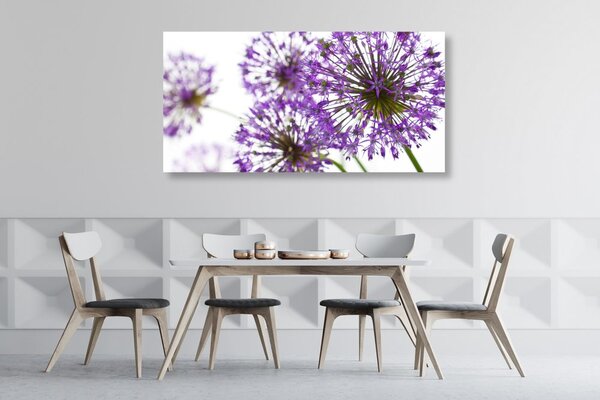 Tablou flori violete flori de usturoi