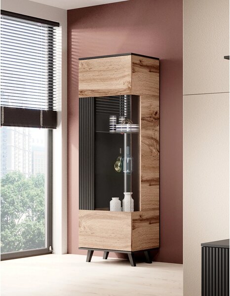 Vitrina RANDOM, stejar wotan/negru, PAL furniruit/polipropilena, 60x40