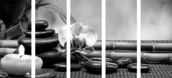 Tablou 5-piese natura moartă Feng Shui în design alb-negru
