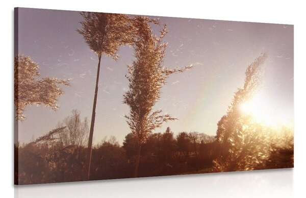 Tablou atmosfera toamnei