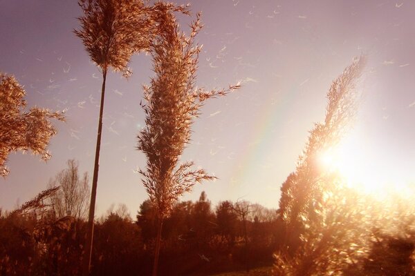 Tablou atmosfera toamnei
