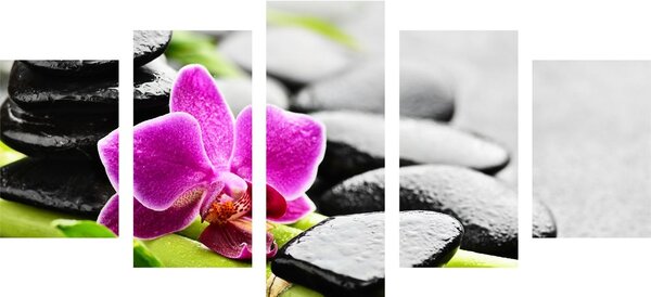 Tablou 5-piese natura moartă wellness cu orhidee violetă