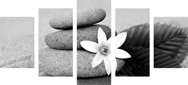 Tablou 5-piese floare și pietre în nisip în design alb-negru