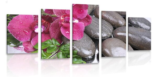 Tablou 5-piese orhidee înfloritoare și pietre wellness