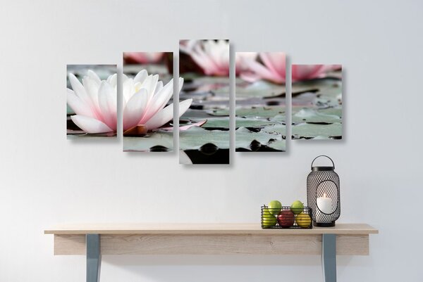 Tablou 5-piese floare de lotus
