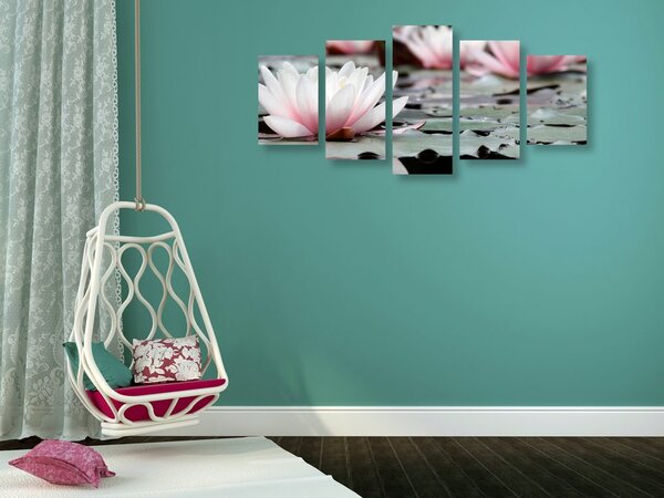 Tablou 5-piese floare de lotus