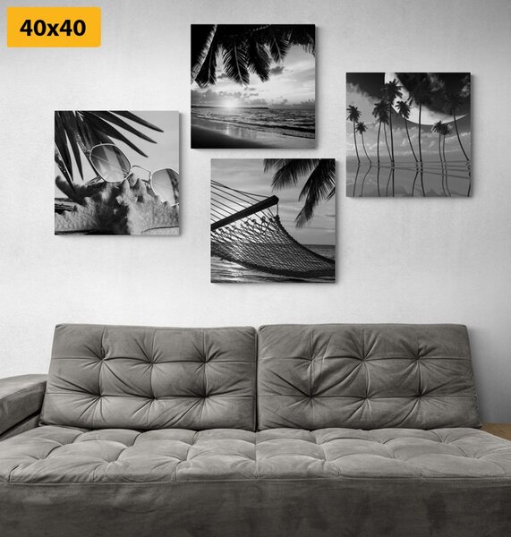 Set tablouri natura moartă a mării în design alb-negru
