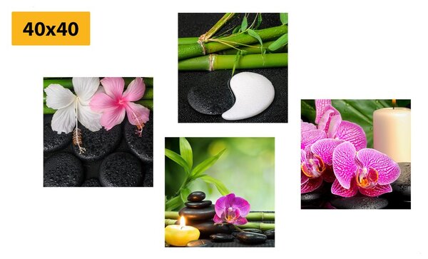 Set tablouri natura moartă Feng Shui