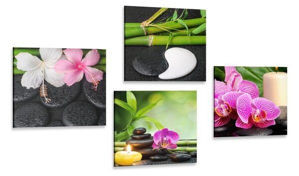 Set tablouri natura moartă Feng Shui