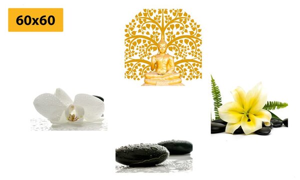 Set tablouri natura moartă delicată Feng Shui