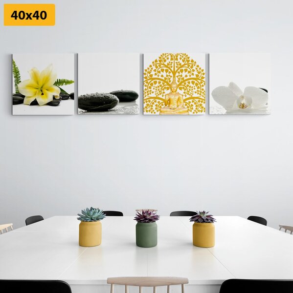Set tablouri natura moartă delicată Feng Shui