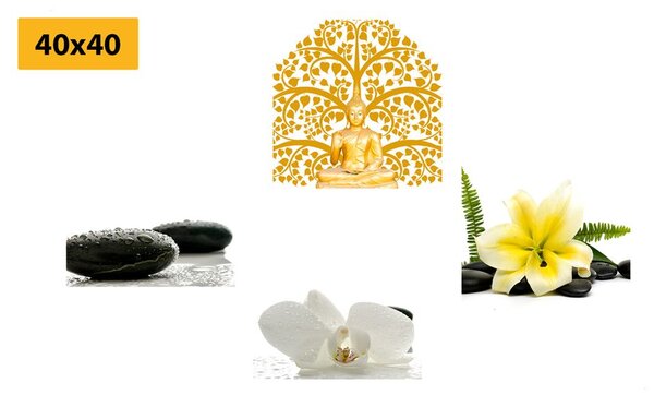 Set tablouri natura moartă delicată Feng Shui