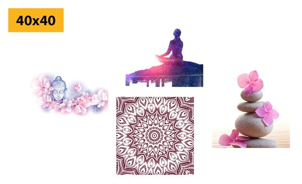Set tablouri Feng Shui în design roz