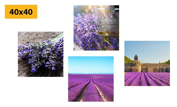 Set tablouri lavandă frumoasă