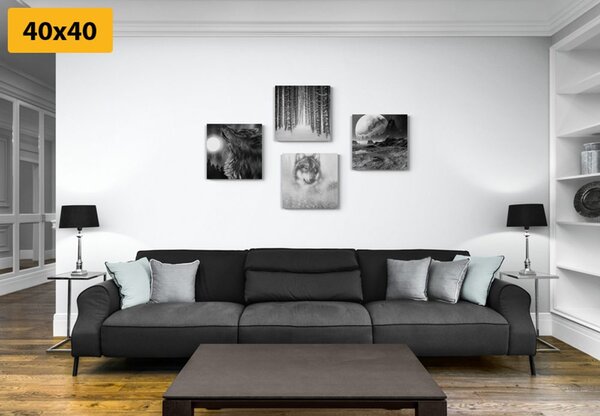 Set tablouri lupul tainic în design alb-negru