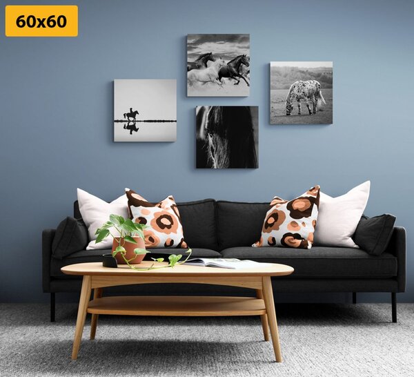 Set tablouri pentru iubitorii de cai în design alb-negru