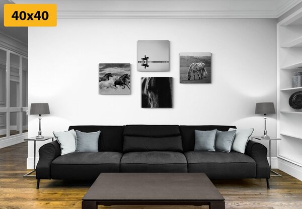 Set tablouri pentru iubitorii de cai în design alb-negru