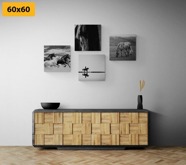 Set tablouri pentru iubitorii de cai în design alb-negru
