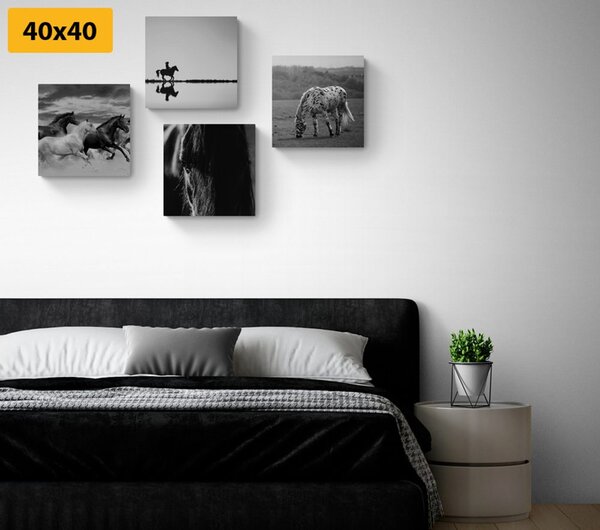 Set tablouri pentru iubitorii de cai în design alb-negru