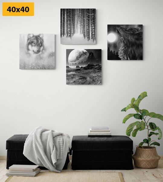 Set tablouri lupul tainic în design alb-negru