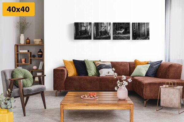 Set tablouri animale de pădure în design alb-negru
