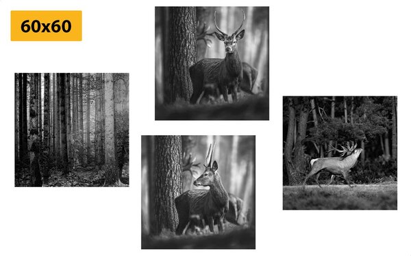 Set tablouri animale de pădure în design alb-negru