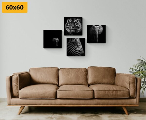 Set tablouri animale în stilul alb-negru