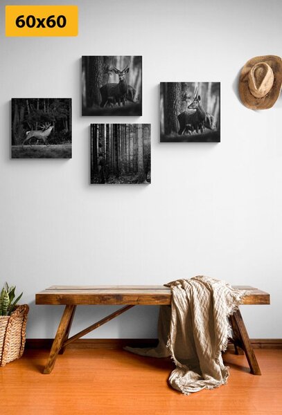 Set tablouri animale de pădure în design alb-negru