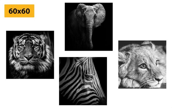 Set tablouri animale sălbatice în design alb-negru