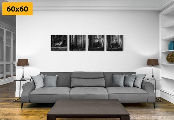 Set tablouri animale de pădure în design alb-negru