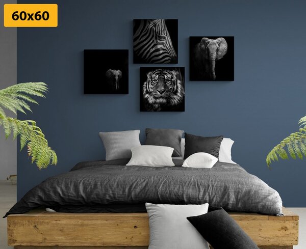 Set tablouri animale în stilul alb-negru