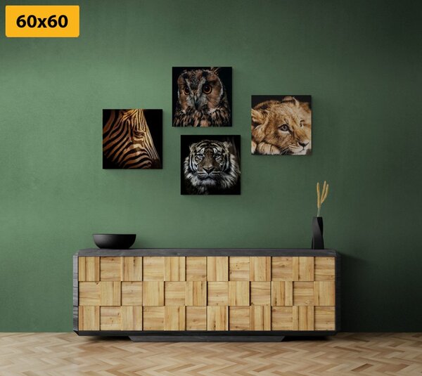 Set tablouri animale sălbatice