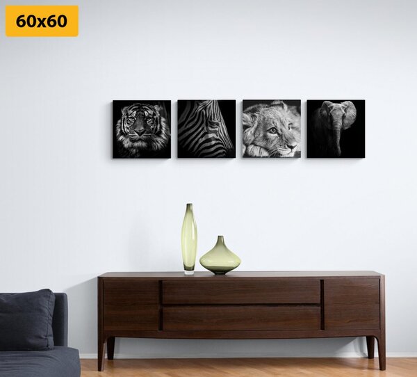 Set tablouri animale sălbatice în design alb-negru