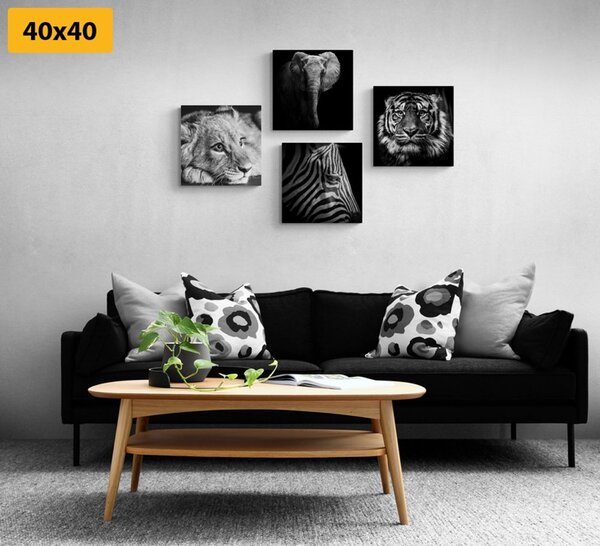 Set tablouri animale sălbatice în design alb-negru