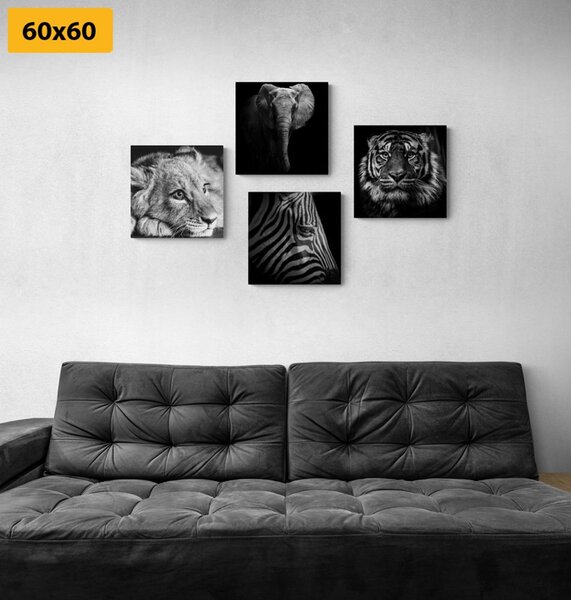 Set tablouri animale sălbatice în design alb-negru