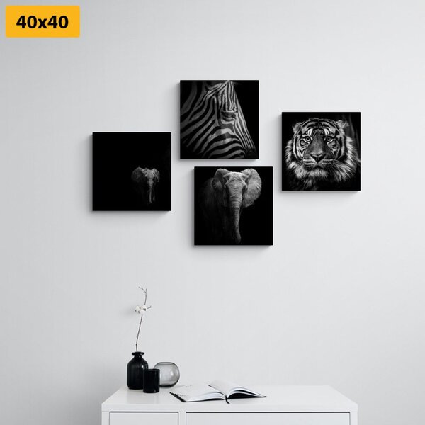 Set tablouri animale în stilul alb-negru