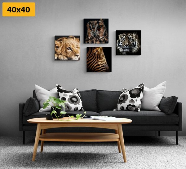 Set tablouri animale sălbatice