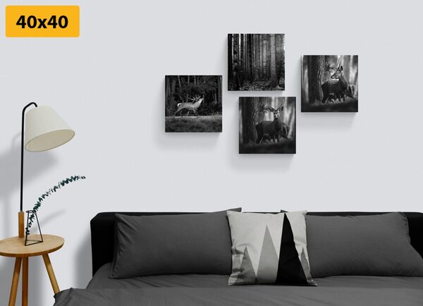 Set tablouri animale de pădure în design alb-negru