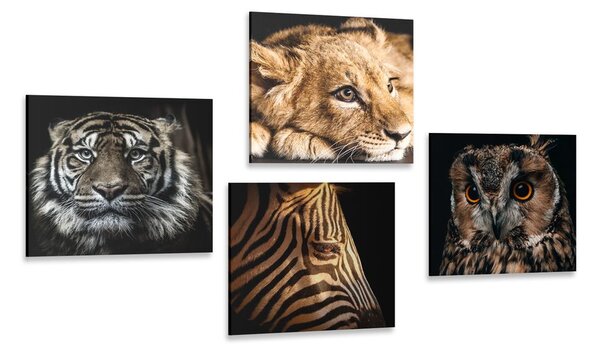 Set tablouri animale sălbatice