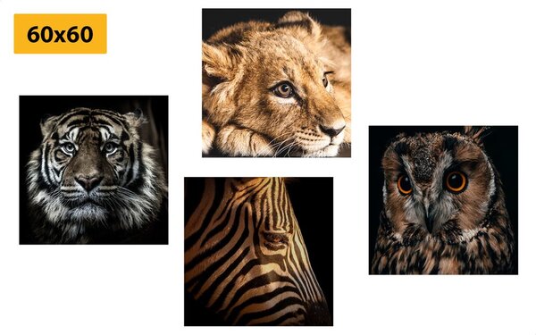 Set tablouri animale sălbatice