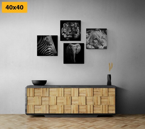 Set tablouri animale sălbatice în design alb-negru