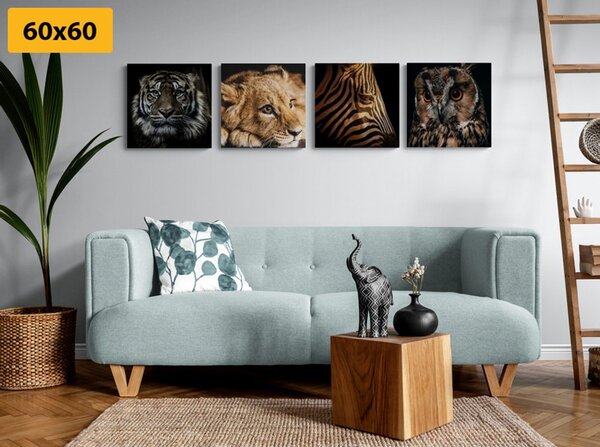 Set tablouri animale sălbatice