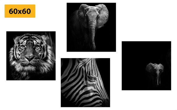 Set tablouri animale în stilul alb-negru