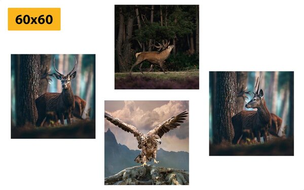 Set tablouri frumusețea animalelor de pădure