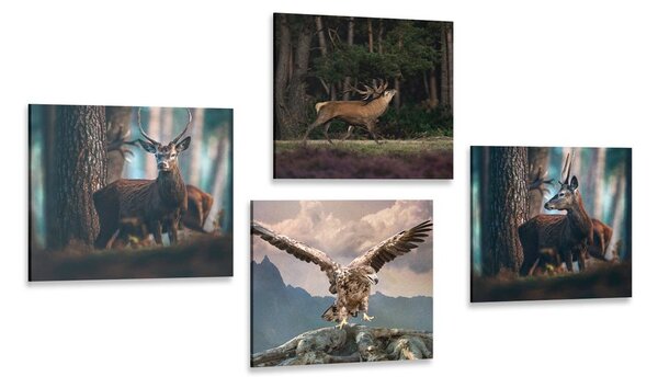 Set tablouri frumusețea animalelor de pădure