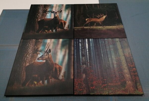 Set tablouri farmecul animalelor din pădure