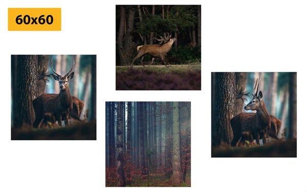 Set tablouri farmecul animalelor din pădure