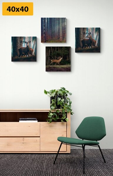 Set tablouri farmecul animalelor din pădure