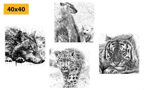Set tablouri animale în design alb-negru de acuarelă