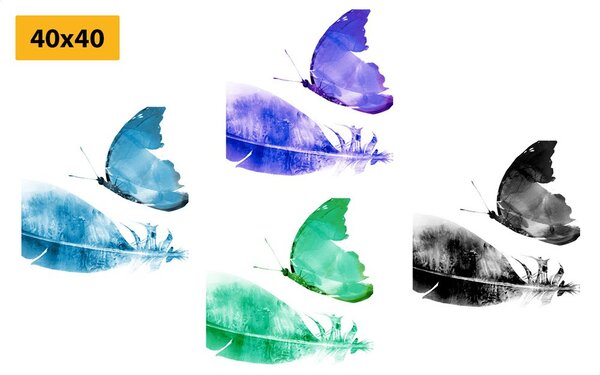 Set tablouri fluturi colorate